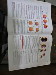 Human Embryology Book