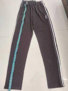 Night Pant