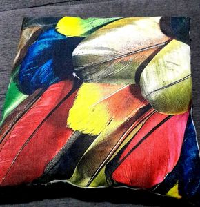 Cushion With Cover