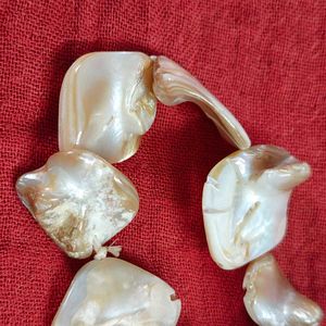 Mother of Pearl Shell Bracelet