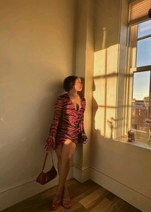 Original Pretty Little Mesh Dress