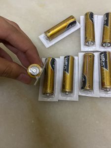 NIPPO 2AA GOLD BATTERIES