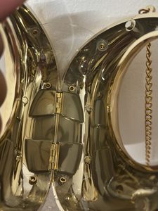 Golden Bag