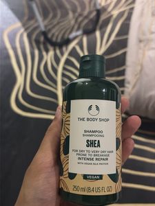 The Body Shop Shea Shampoo