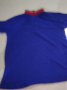Blue T-shirt with Red Collar