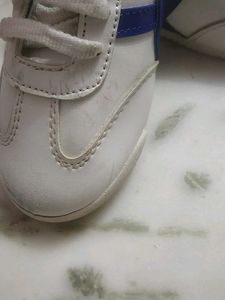 Baby Sneakers