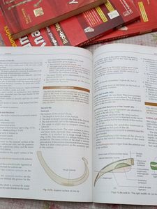 BD Chaurasia Volume 1(8th Edition)+Dissection Kit