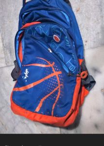 Skybags Branded Backpack 32 L With Rain Cover