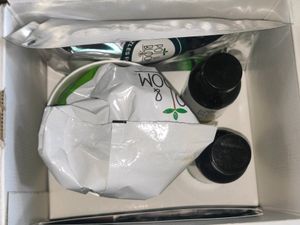 Pot and Bloom Italian Basil Plant Gardening Kit|