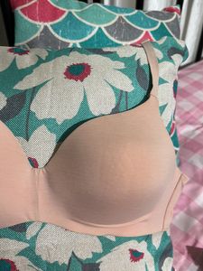 Enamor Bra Size L