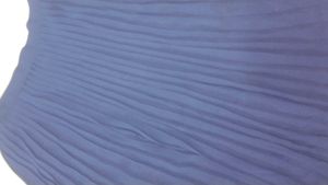 Knee Length Pleated Skirt