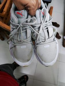 Puma Brand sports Shoes