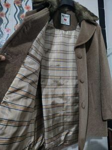 Elegant Brown Coat