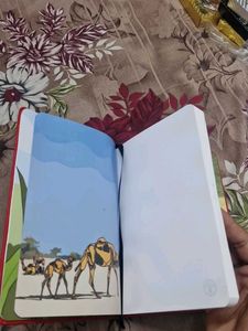 Red Color  Dairy