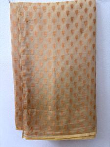 Elegant Beige Saree