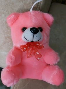 Teddy 🧸