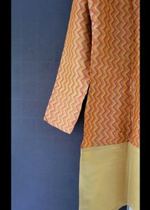 Elegant Ethnic paper Silk Kurta