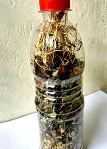 Roots and Herbs in Bottle