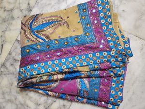 Arri Tari work multi colour saree🫠
