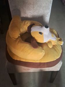 Cute Doggy Chair For Kids