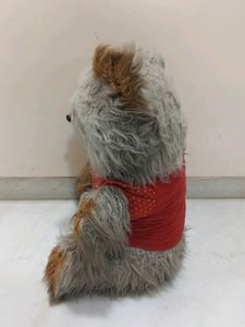 Cute Teddy Bear