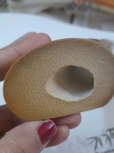 Bamboo Speaker