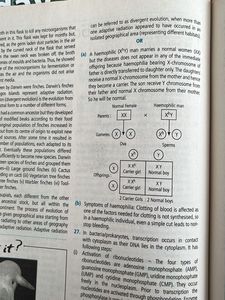 Biology Today Magazines