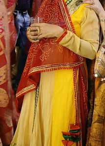 Ethnic Gowns