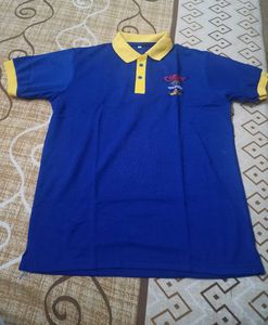 Zara &amp; Branded Polo Shirts Combo