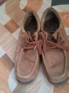 Casual Brown Shoes