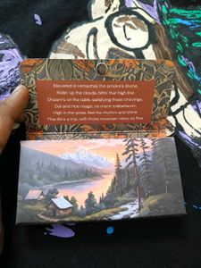 special deal on rolling papers