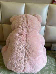 Teddy Bear (2 Feet) Ht