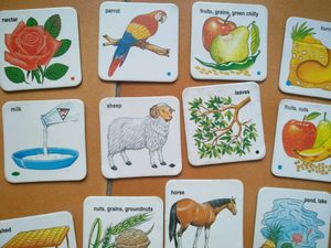 Learning Cards 30 Card