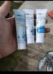 Combo Face Wash Moisturizer Sunscreen New Seal