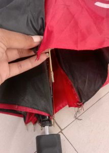 PW Umbrella