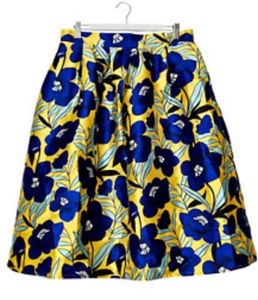 Mini Skirt