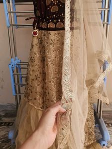 Elegant Embellished Lehenga Choli Set