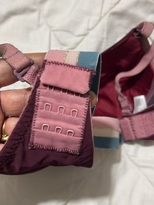 padded Burgundy Bra from Clovia