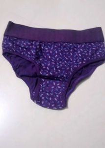 Briefs