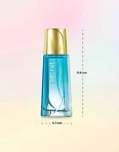 Secret Temptation Perfume 💙