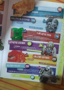 Ripley&#39;s Believe It Or Not Book