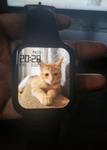 Hammer Watch