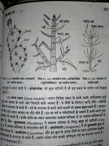 Class 10th Biology Book