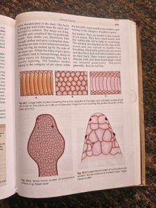Medical Jurisprudence Textbook