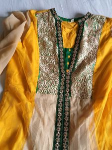 Ethnic Gowns