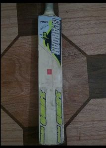Cricket Bat