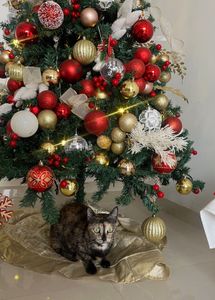 Christmas decorations