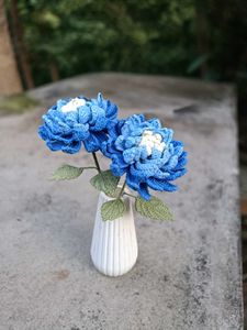 Dahlia Flower (1)