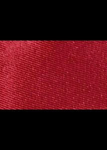 Red Crossbody Pouch