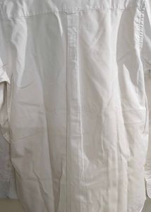 Branded Shirt For Men